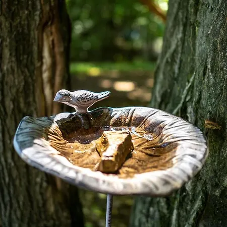 Stromodomek Vlčková Casa vacanze Zlín