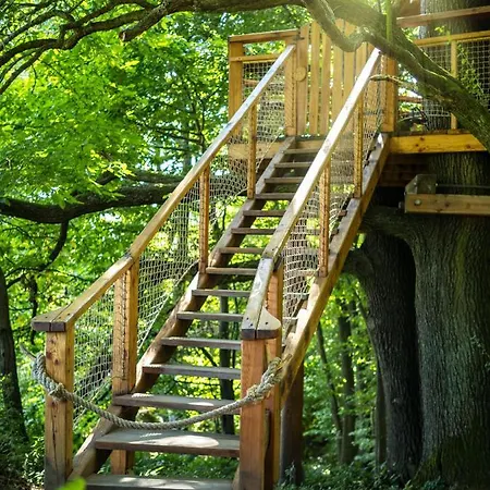 Stromodomek Vlčková Zlín